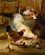unknow artist Cocks 105 oil painting reproduction